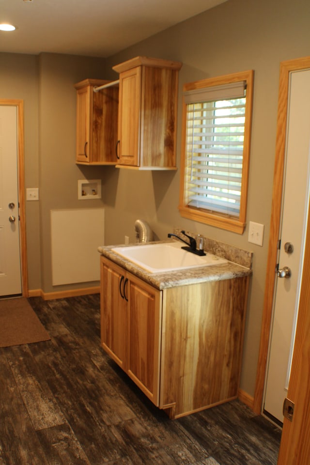 kitchen with sink and dark hardwood / wood-style flooring