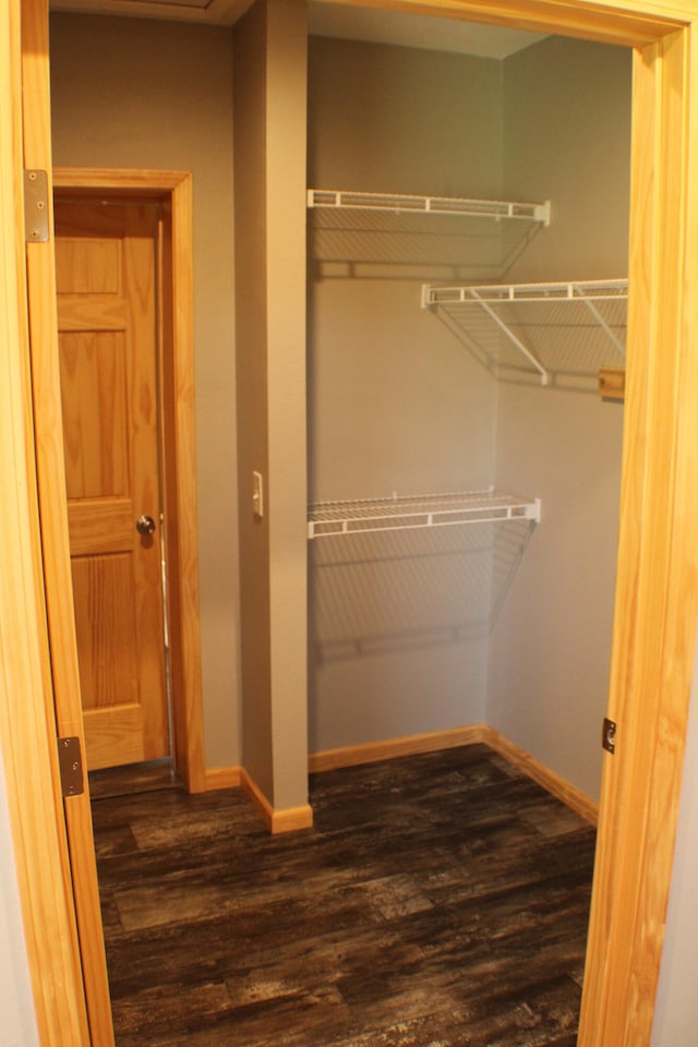 view of closet