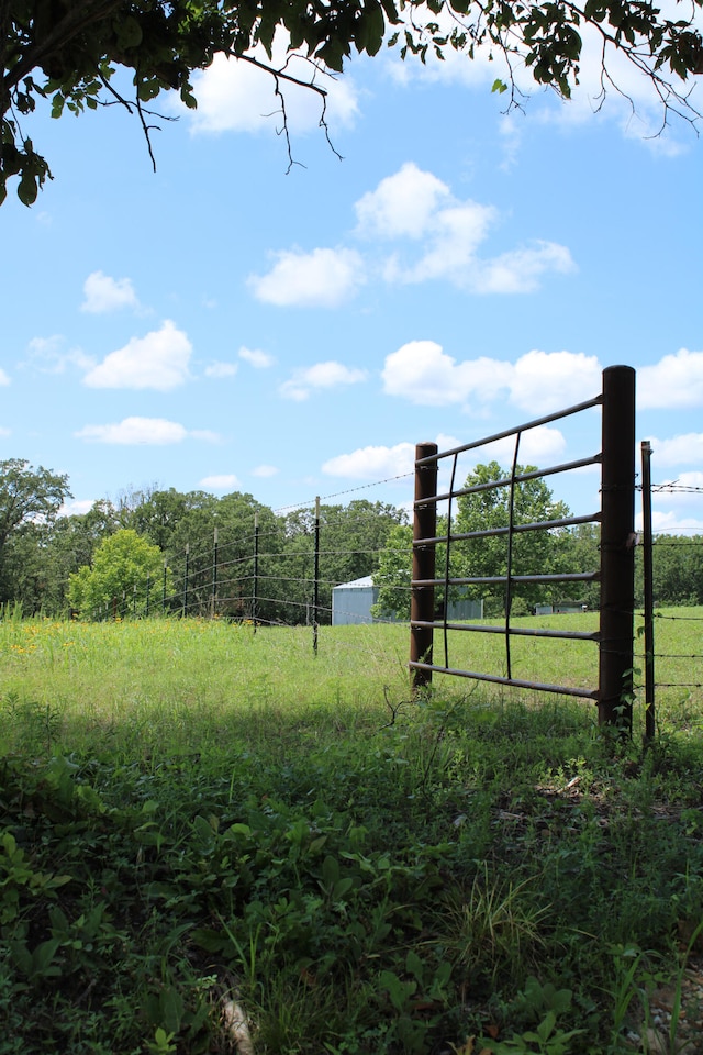 view of yard with a rural view