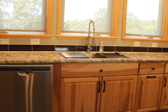 kitchen featuring dishwasher, sink, and a wealth of natural light