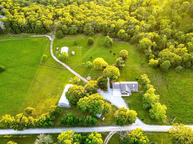 bird's eye view