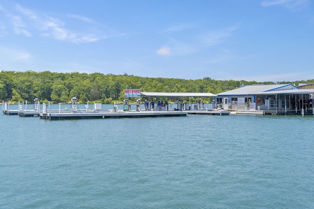 view of dock with a water view