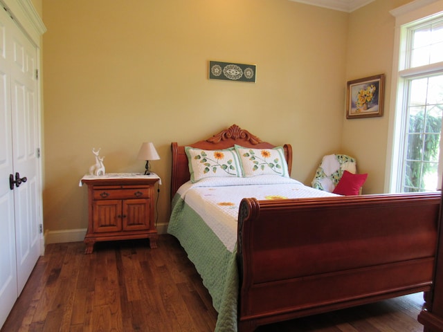 bedroom with ornamental molding, dark wood-type flooring, and a closet