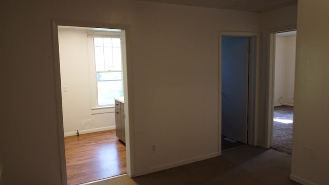 interior space with wood-type flooring