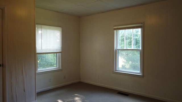 carpeted empty room featuring a healthy amount of sunlight