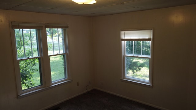 empty room with plenty of natural light and carpet floors