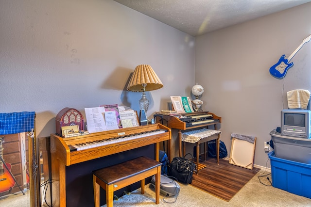 living area featuring carpet floors, a textured ceiling, and baseboards