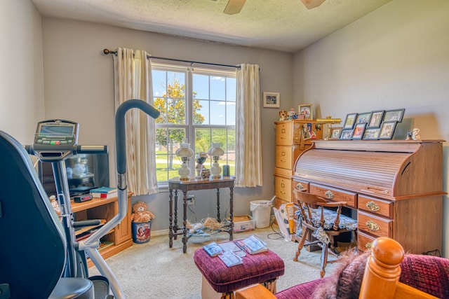 office space with carpet, a textured ceiling, and a ceiling fan