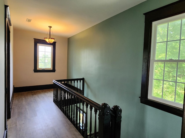 staircase featuring a wealth of natural light and hardwood / wood-style floors