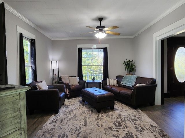 living room featuring ceiling fan, dark wood-type flooring, and ornamental molding