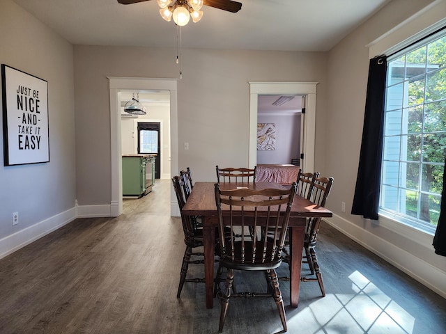 dining space featuring ceiling fan and wood-type flooring