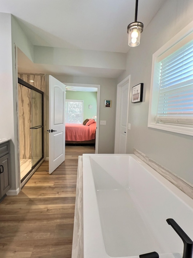 bathroom with hardwood / wood-style floors, plenty of natural light, vanity, and plus walk in shower