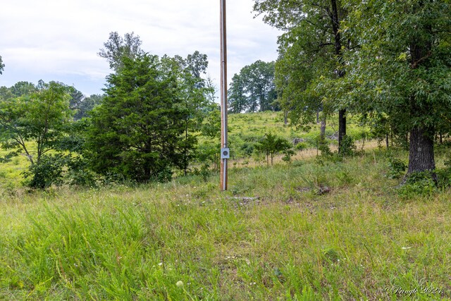 Tbd County Road 557, Caulfield, MO 65626 - photo 18