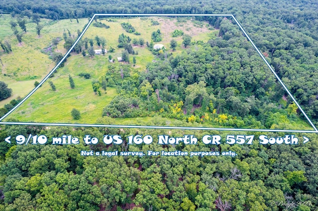 Tbd County Road 557, Caulfield, MO 65626 - photo 1