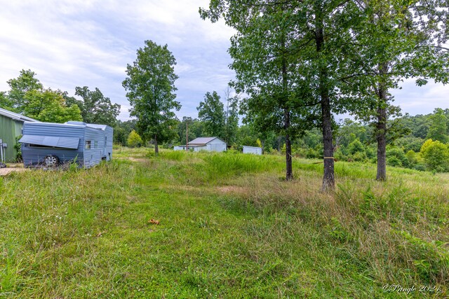 Tbd County Road 557, Caulfield, MO 65626 - photo 20