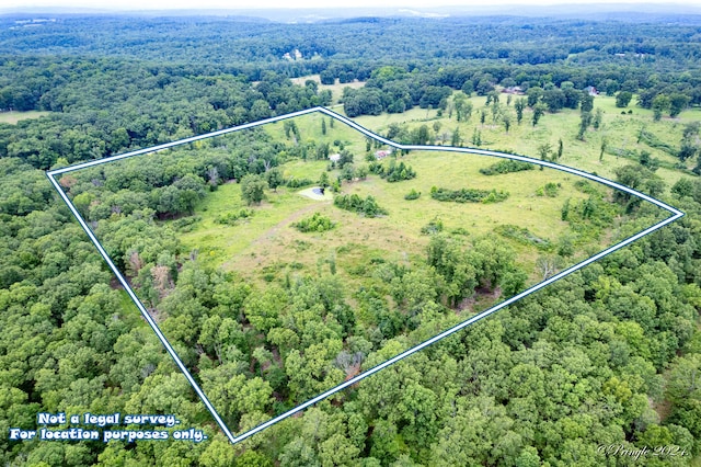 Tbd County Road 557, Caulfield, MO 65626 - photo 2