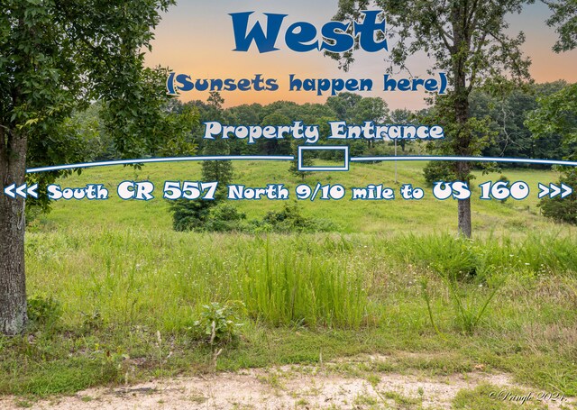 Tbd County Road 557, Caulfield, MO 65626 - photo 8