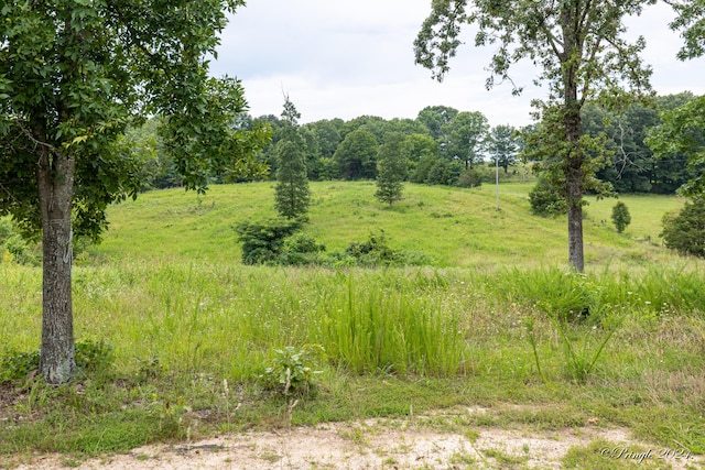 Tbd County Road 557, Caulfield, MO 65626 - photo 17
