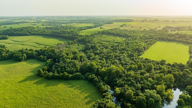 000 S Dade 163, South Greenfield, MO 65752 - photo 11
