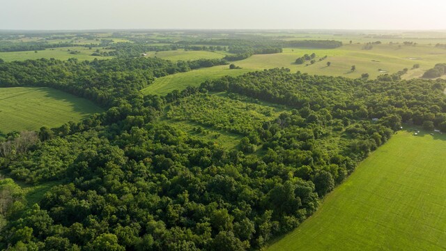 000 S Dade 163, South Greenfield, MO 65752 - photo 18