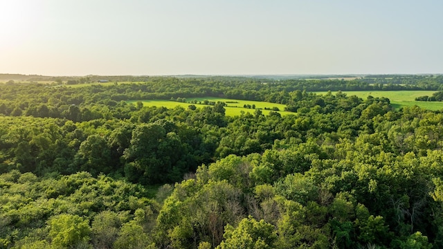 000 S Dade 163, South Greenfield, MO 65752 - photo 23