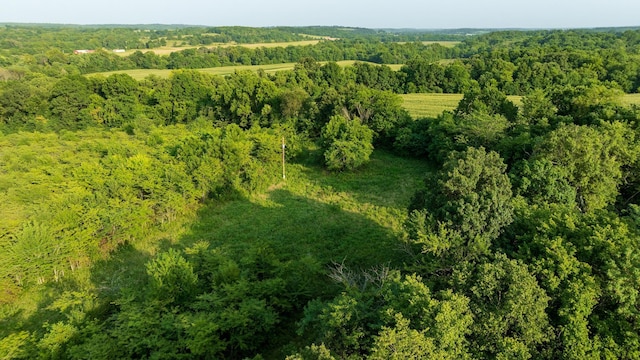 000 S Dade 163, South Greenfield, MO 65752 - photo 20