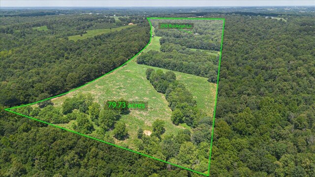 birds eye view of property with a forest view