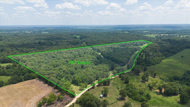 birds eye view of property with a view of trees