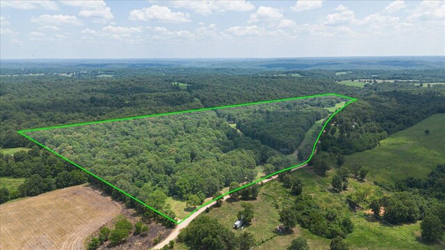 birds eye view of property with a wooded view