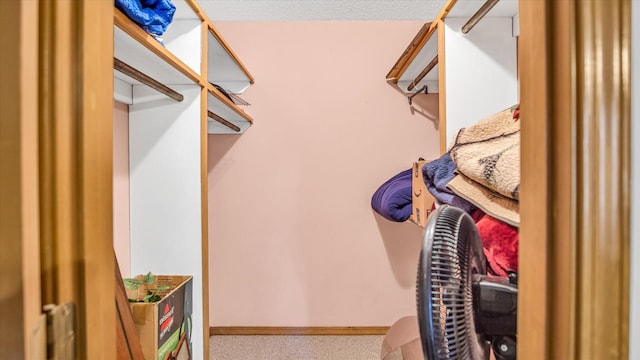 3166 W Seminole St, Springfield, MO 65807 - view of spacious closet