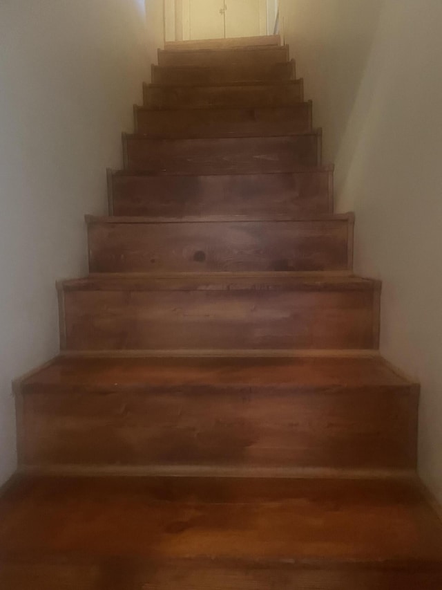 stairway featuring wood finished floors
