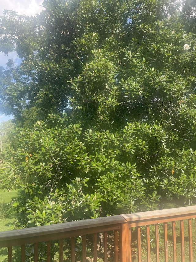 view of yard featuring a balcony