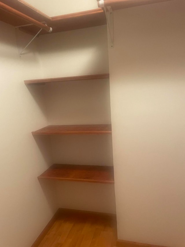 spacious closet with wood-type flooring