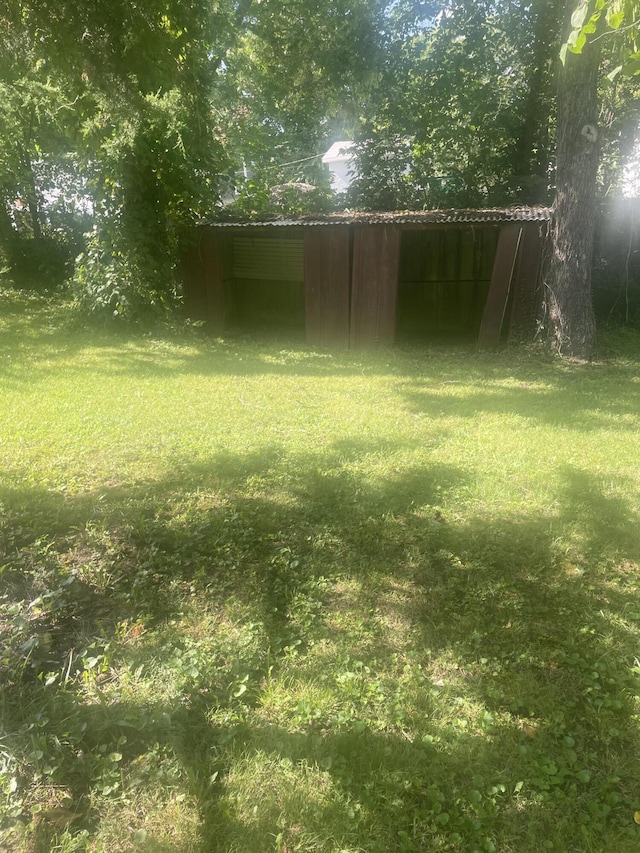 view of yard featuring an outbuilding