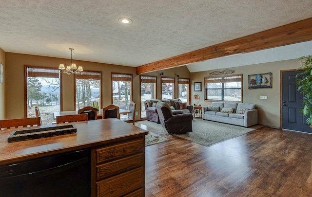 kitchen with a textured ceiling, a healthy amount of sunlight, and dark hardwood / wood-style flooring