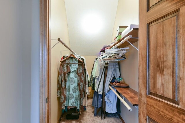 spacious closet with light carpet