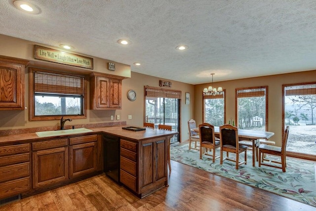 kitchen with light hardwood / wood-style flooring, black dishwasher, sink, and a healthy amount of sunlight