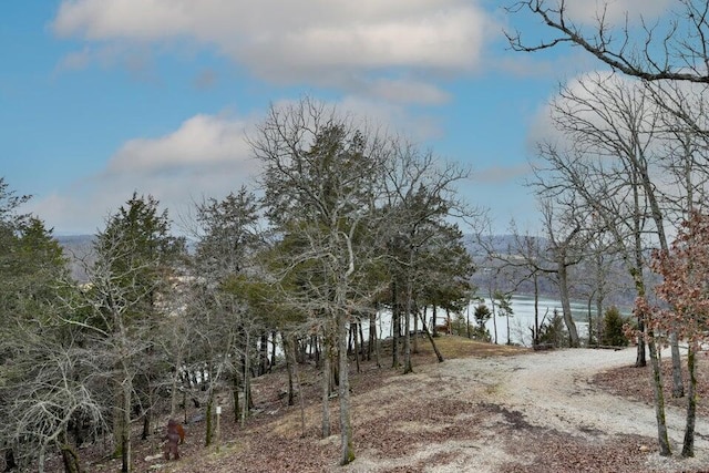 view of nature featuring a water view