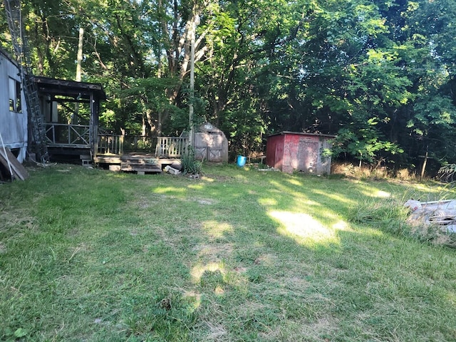 view of yard with a storage shed