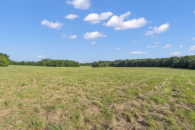 Listing photo 3 for 000 E Farm Rd 174, Rogersville MO 65742