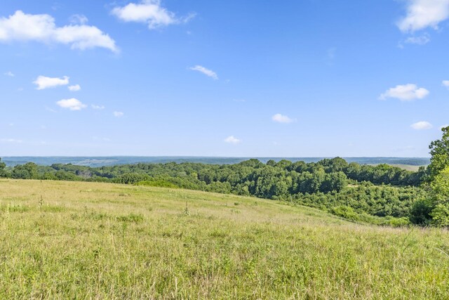 131 Mule Barn Dr, Cape Fair, MO 65624