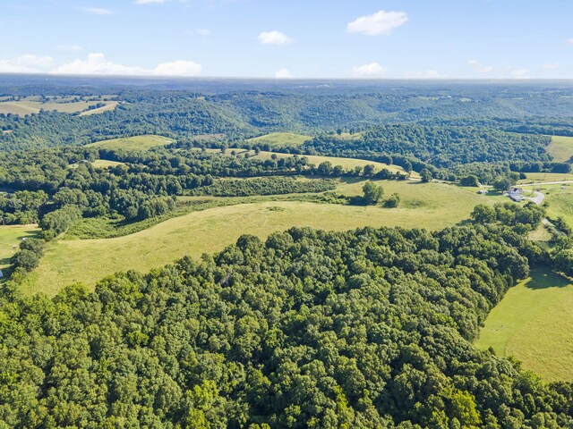 131 Mule Barn Dr, Cape Fair, MO 65624