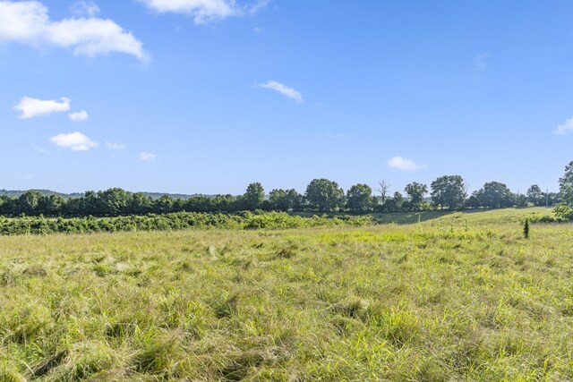 131 Mule Barn Dr, Cape Fair, MO 65624