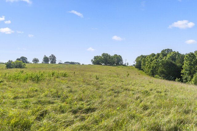 131 Mule Barn Dr, Cape Fair, MO 65624