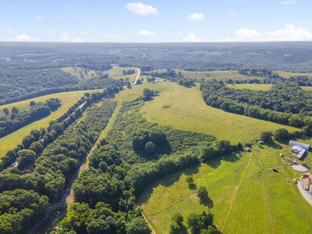 131 Mule Barn Dr, Cape Fair, MO 65624