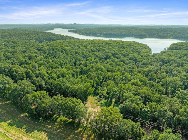 000 Sans Souci Dr, Shell Knob, MO 65747