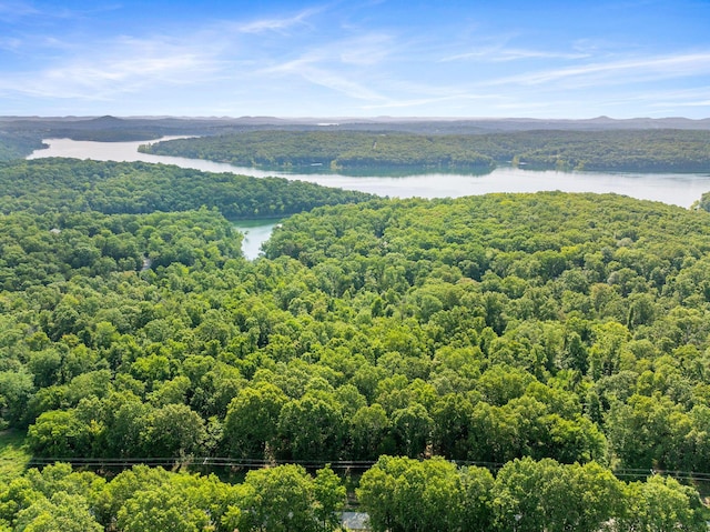 000 Sans Souci Dr, Shell Knob, MO 65747