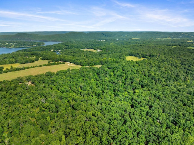000 Sans Souci Dr, Shell Knob, MO 65747