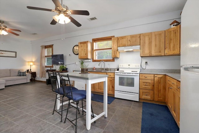 kitchen with plenty of natural light, white appliances, ceiling fan, under cabinet range hood, and visible vents