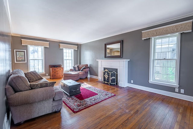 1011 E University St, Springfield, MO 65807 - living room with hardwood / wood-style flooring, ornamental molding, and a fireplace with flush hearth